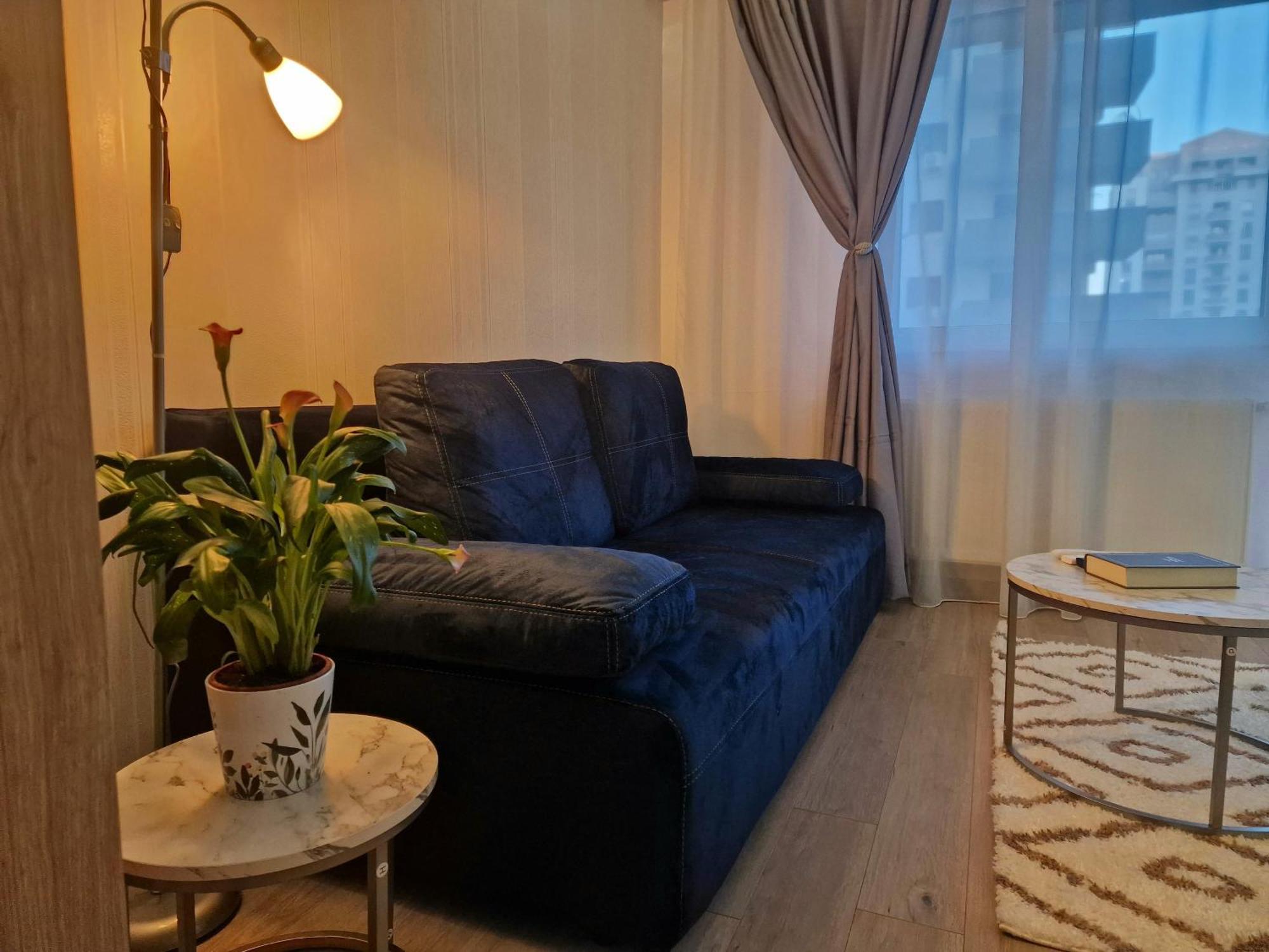 Studio&Garden! Roşu Εξωτερικό φωτογραφία